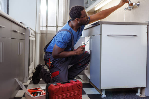 Best Clogged Drain Plumber  in Deerfield, WI